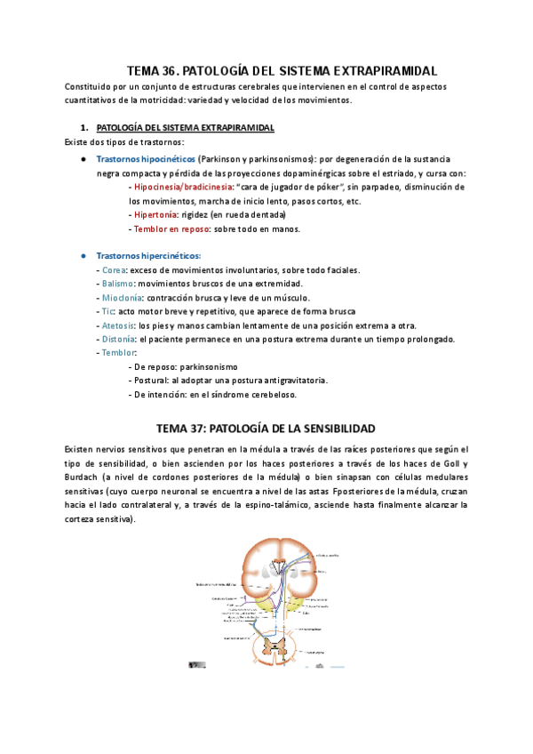 Miniatura del documento Tema-36-y-37.pdf