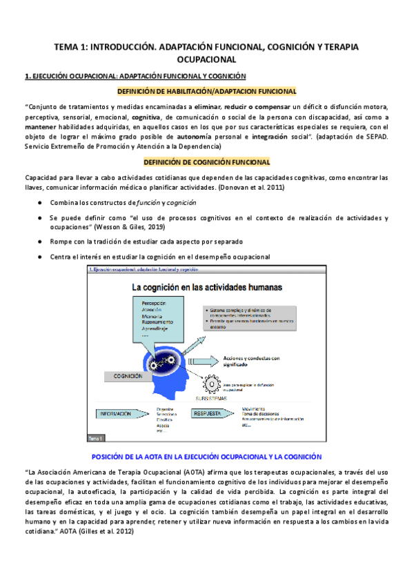 Miniatura del documento Tema-1-INTRODUCCION.-ADAPTACION-FUNCIONAL-COGNICION-Y-TERAPIA-OCUPACIONAL-2.pdf