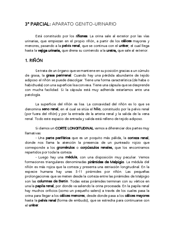 Miniatura del documento ORGANO GENITO-URINARIO.pdf
