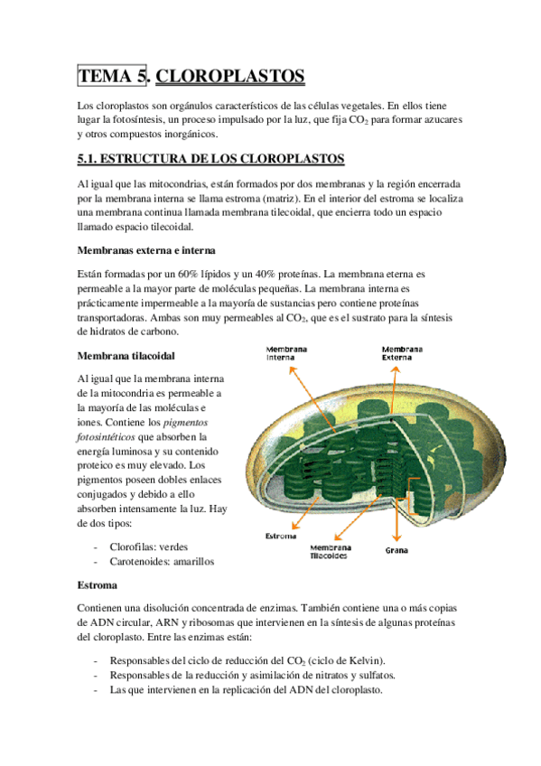 Miniatura del documento TEMA 5.pdf