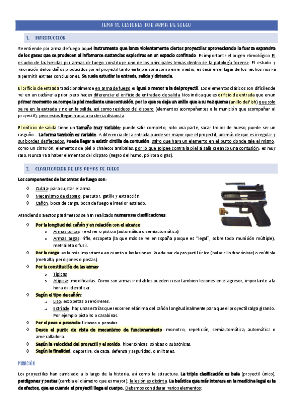 Miniatura del documento TEMA-11.pdf