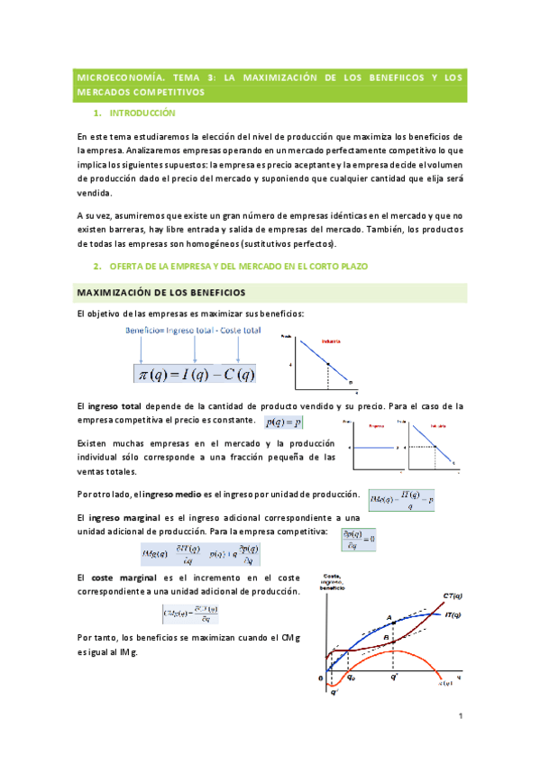 Miniatura del documento t3-microeconomia.pdf