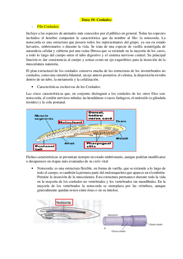Miniatura del documento Tema-10.pdf