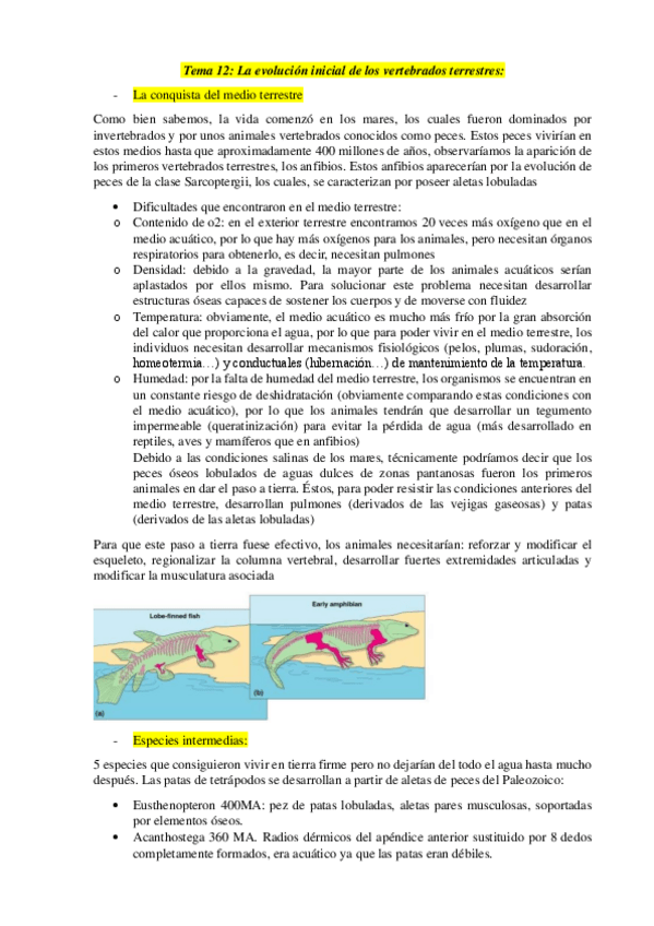 Miniatura del documento Tema-12.pdf