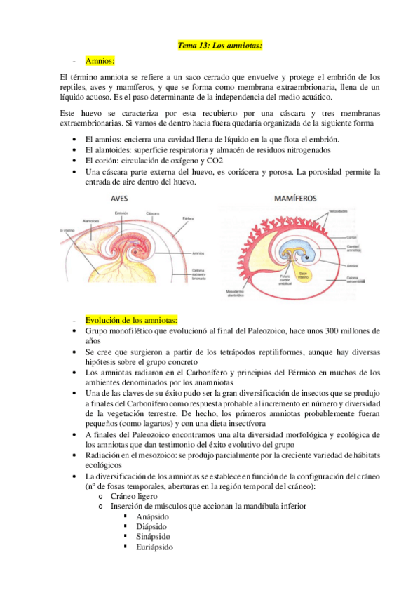 Miniatura del documento Tema-13.pdf