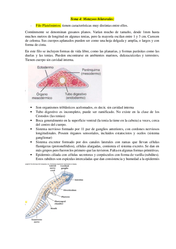 Miniatura del documento Tema-4.pdf