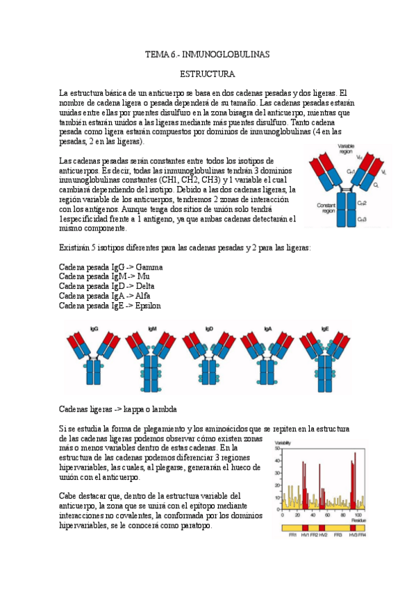 Miniatura del documento Tema-6.-Inmunoglobulinas.pdf