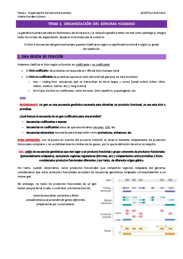 Miniatura del documento P1-GH.pdf