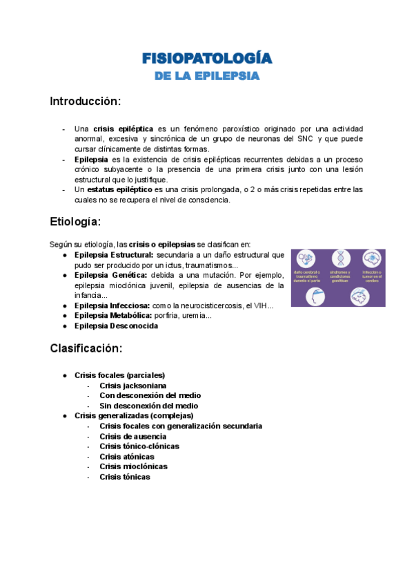 Miniatura del documento EPILEPSIA.pdf