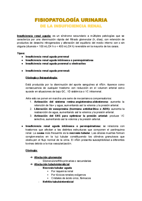 Miniatura del documento 1.-FP-INSUFICIENCIA-RENAL.pdf