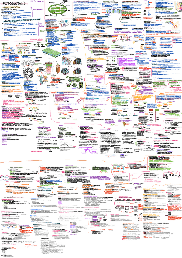 Miniatura del documento APUNTES-BIO2.pdf.pdf