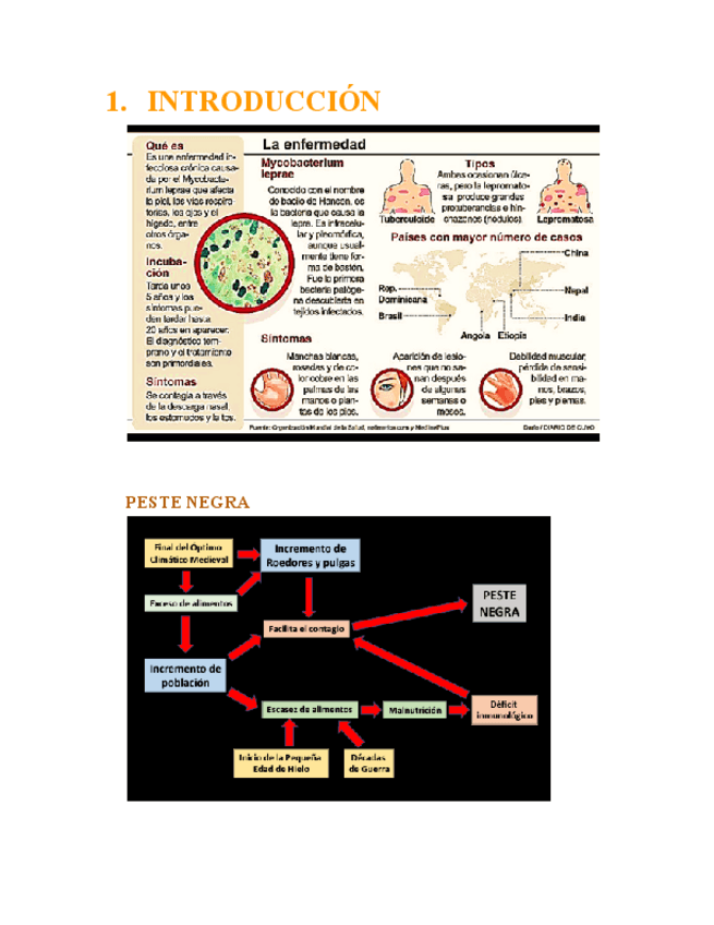 Miniatura del documento TEMA-5-Y-6-Edad-Media.pdf