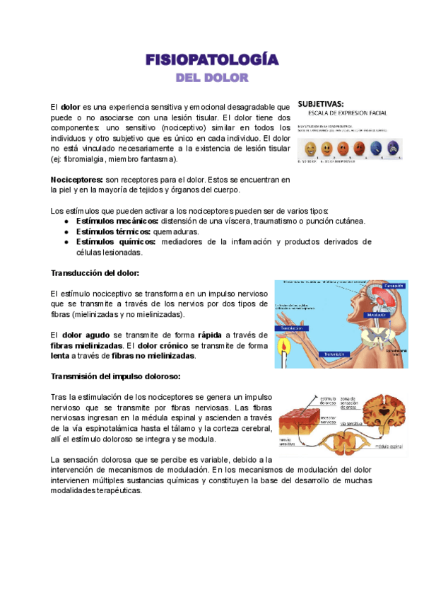 Miniatura del documento 3.-FP-DEL-DOLOR.pdf