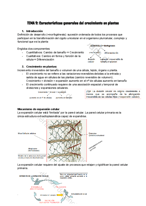 Miniatura del documento VEGETAL-2o-PARTE.pdf