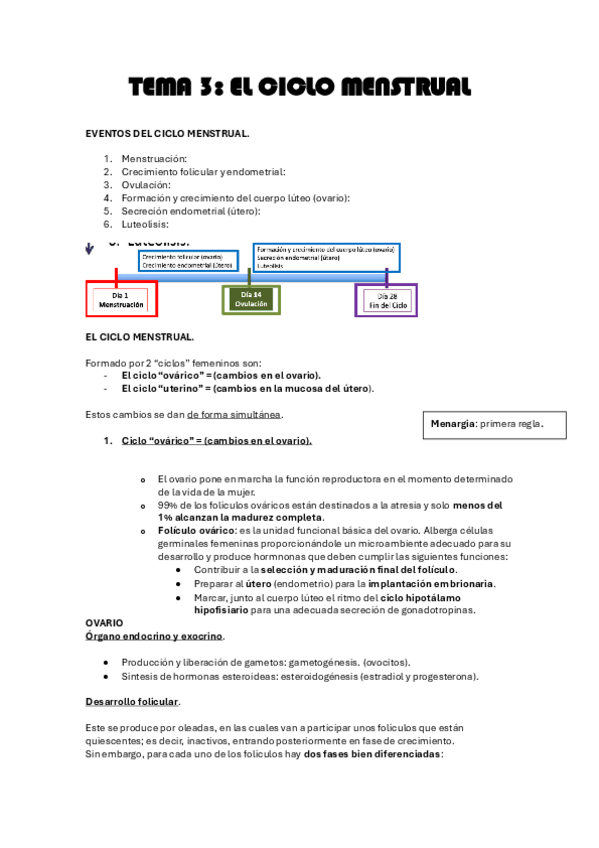 Miniatura del documento TEMA-3-CICLO-MENSTRUAL.pdf