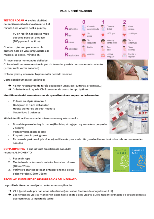 Miniatura del documento paul-I.pdf