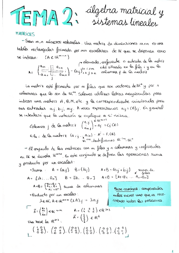 Miniatura del documento Tema 2 Matrices y sistemas lineales.pdf