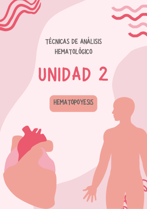 Miniatura del documento T2-TAH-HEMATOPOYESIS.pdf