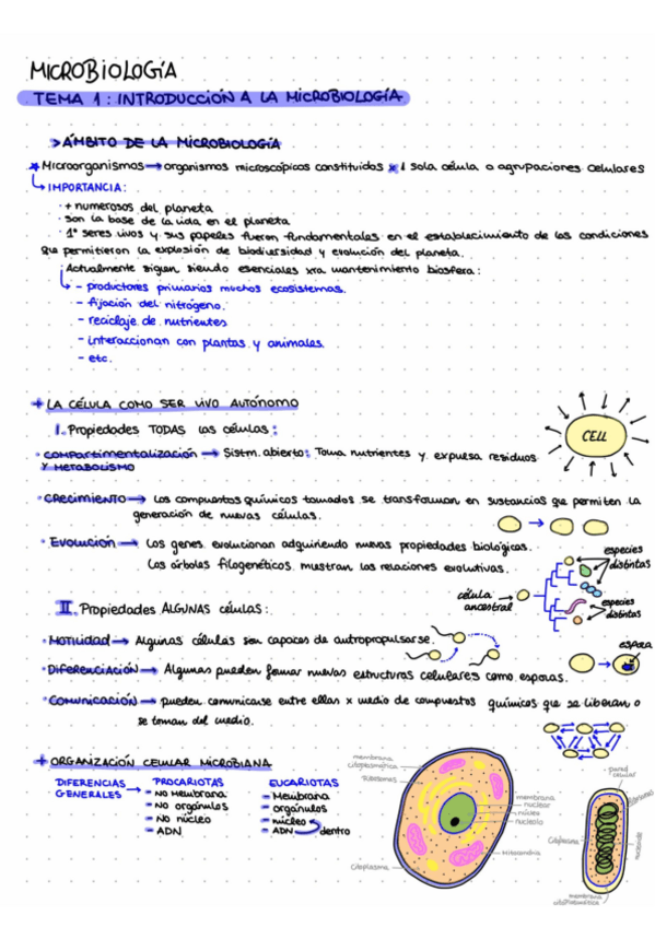 Miniatura del documento micro-tema-1.pdf