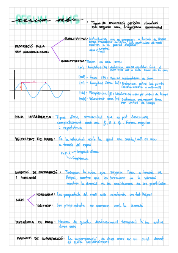 Miniatura del documento RESUM-MHS.pdf