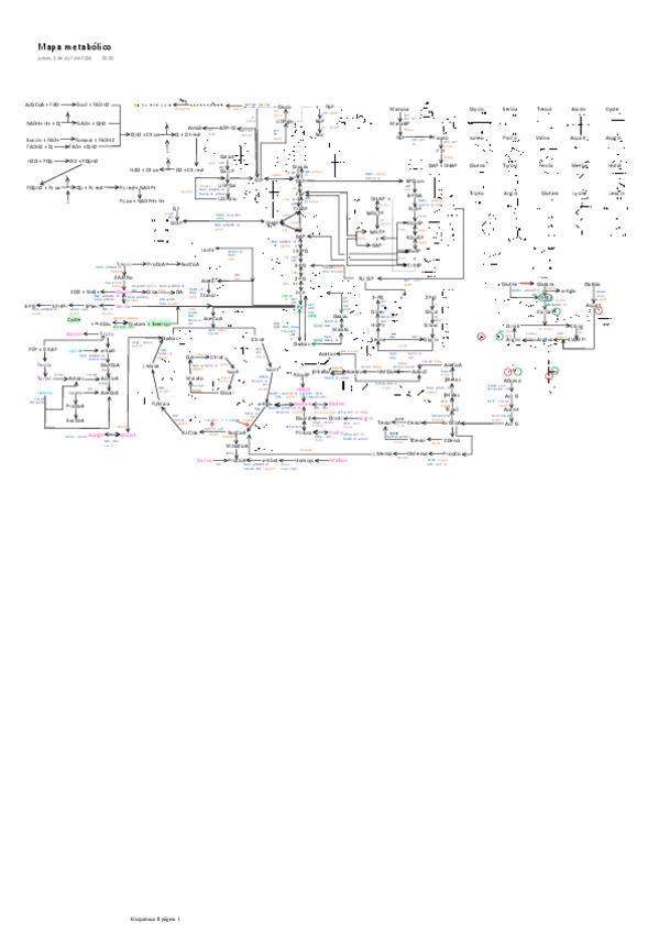 Miniatura del documento Bioquimica-IIMapa-metabolico.pdf