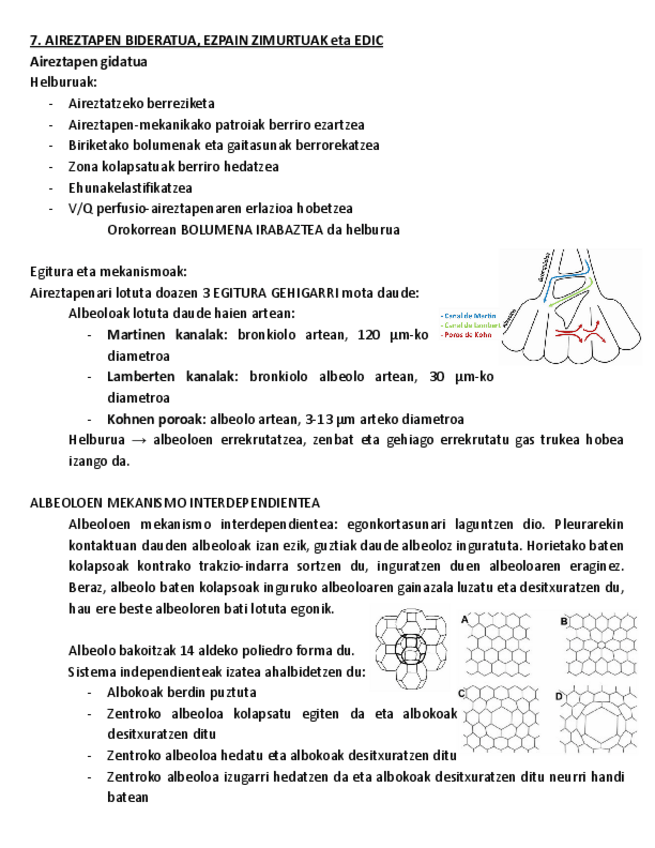 Miniatura del documento 7.-AIREZTAPEN-BIDERATUA-EZPAIN-ZIMURTUAK-ETA-EDIC.pdf