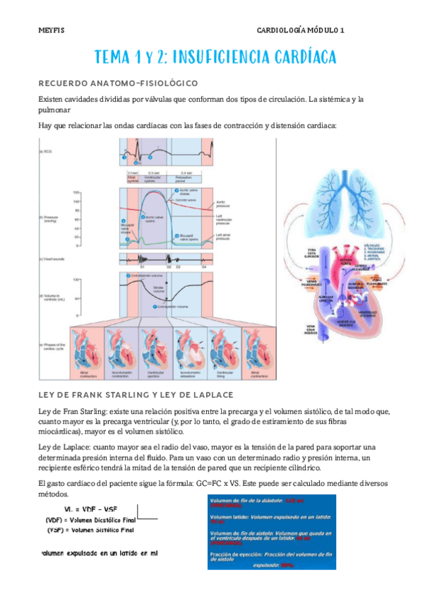 Miniatura del documento TEMA-1-y-2-IC.pdf