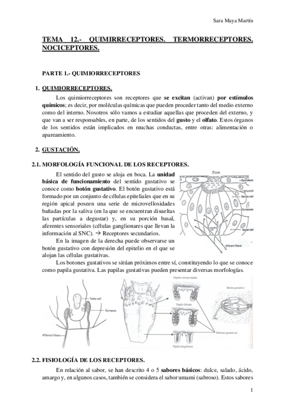 Miniatura del documento TEMA 12.- QUIMIRRECEPTORES. TERMORRECEPTORES. NOCICEPTORES..pdf