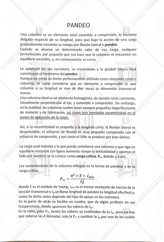 Miniatura del documento Pandeo.pdf