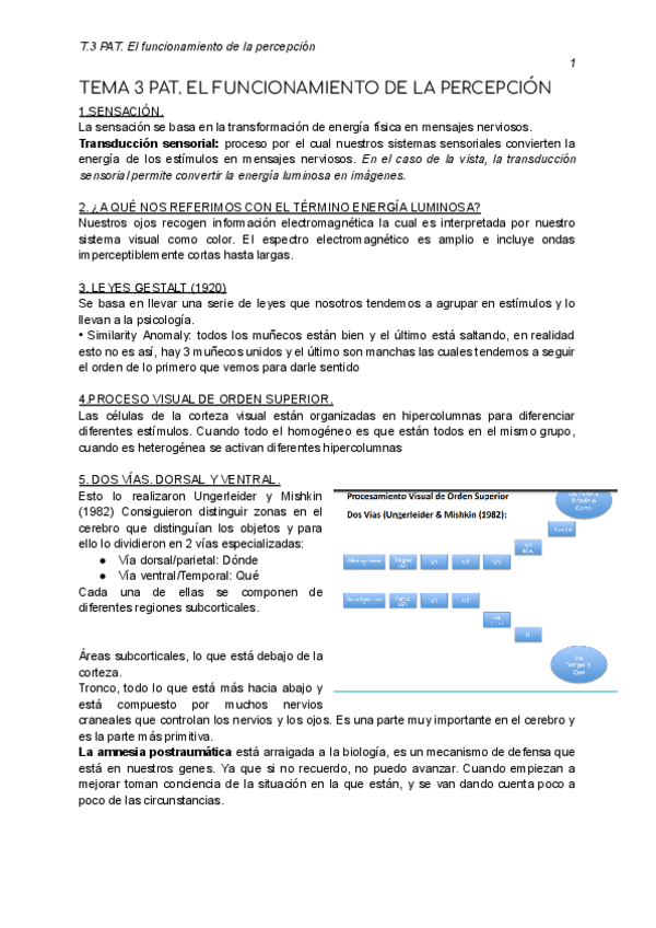 Miniatura del documento TEMA-3-PAT.pdf