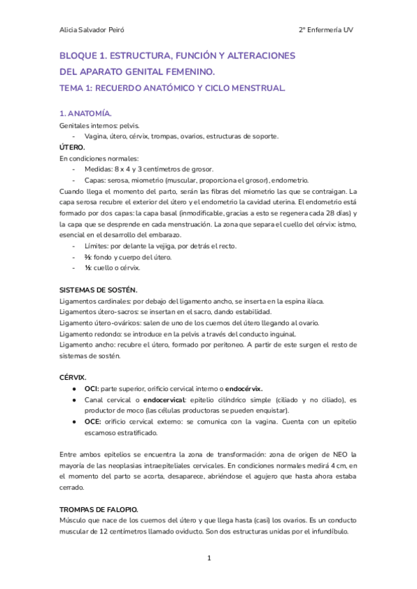 Miniatura del documento apuntes-mujer.pdf