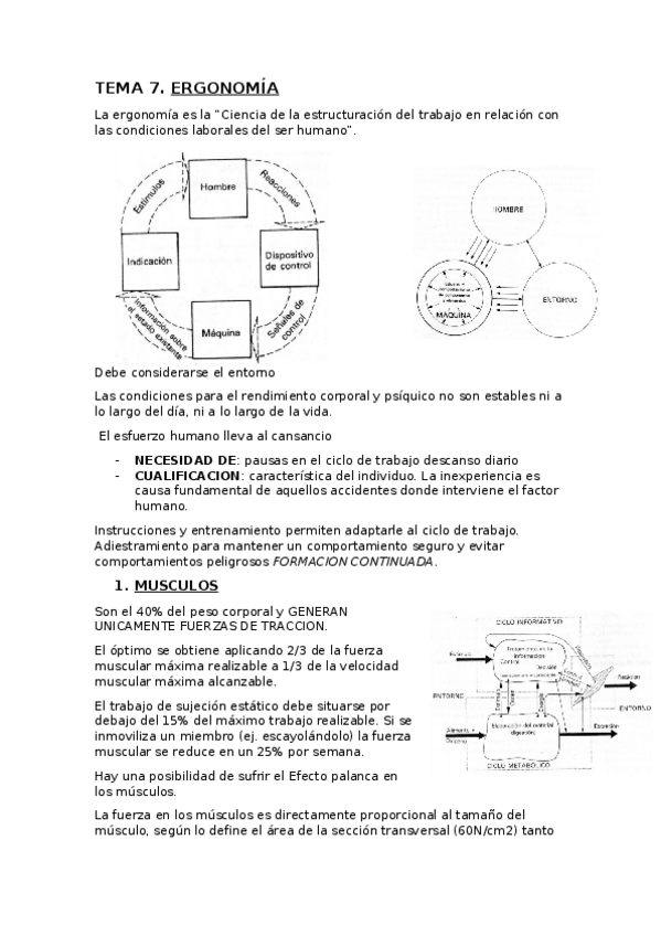 Miniatura del documento ERGONOMIA.docx
