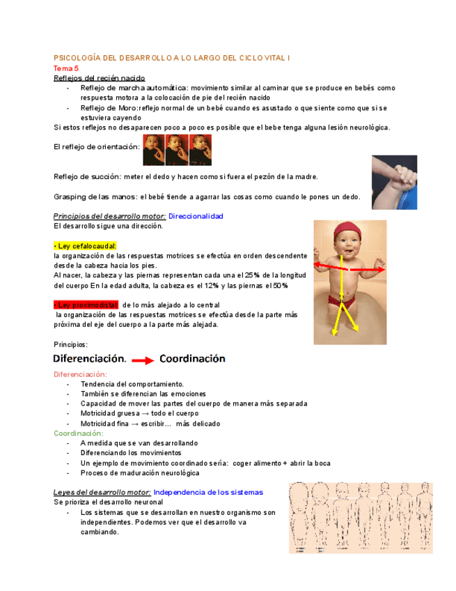 Miniatura del documento TEMA-5-desarrolllo.pdf