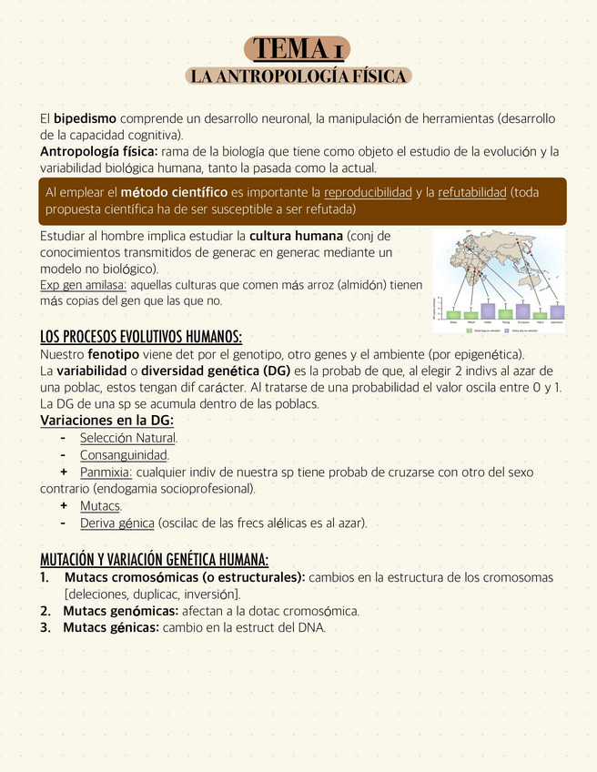 Miniatura del documento T1-LA-ANTROPOLOGIA-FISICA.pdf