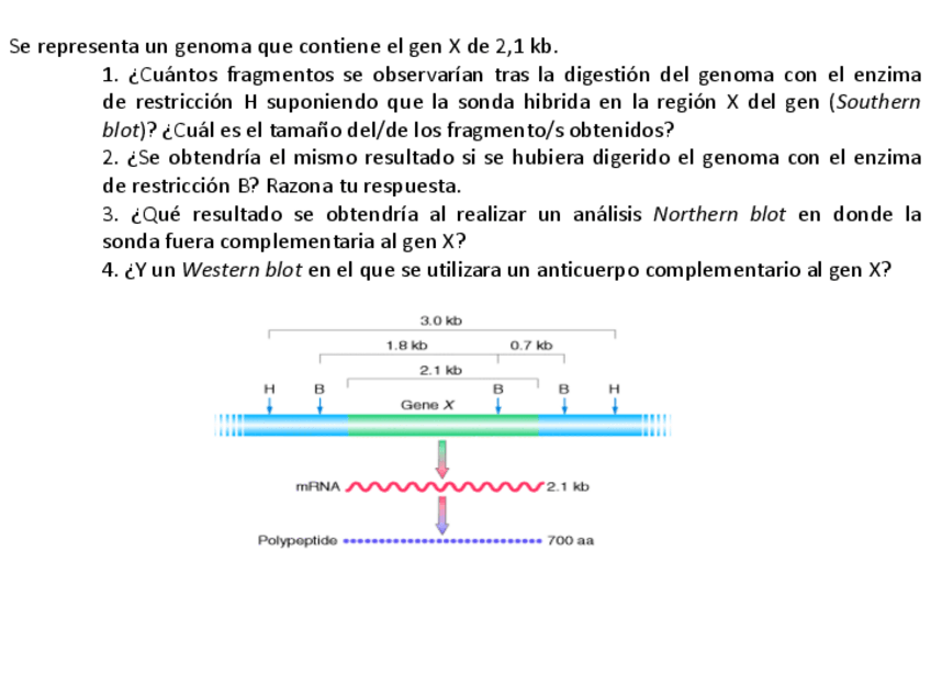 Miniatura del documento Soluciones-Seminario-2.pdf