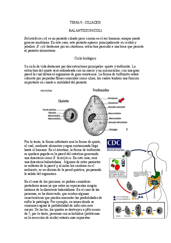 Miniatura del documento Tema-9.-Ciliados.pdf