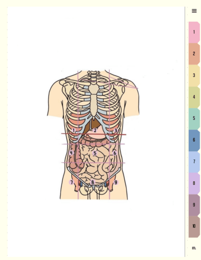 Miniatura del documento Regiones-abdominales.pdf