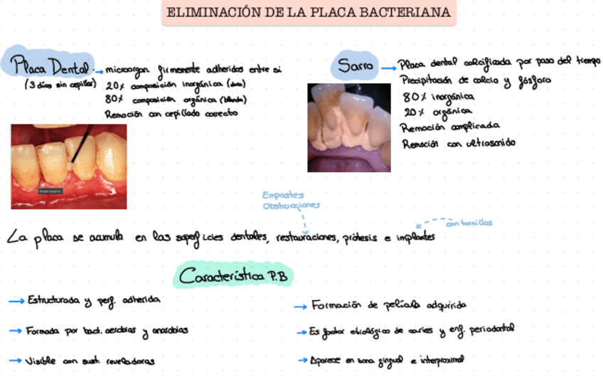 Miniatura del documento Esquema-T1-inter.pdf