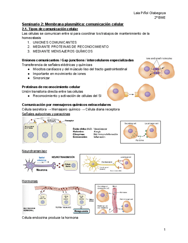 Miniatura del documento Fisiologia-Seminarios-2-3-4.pdf