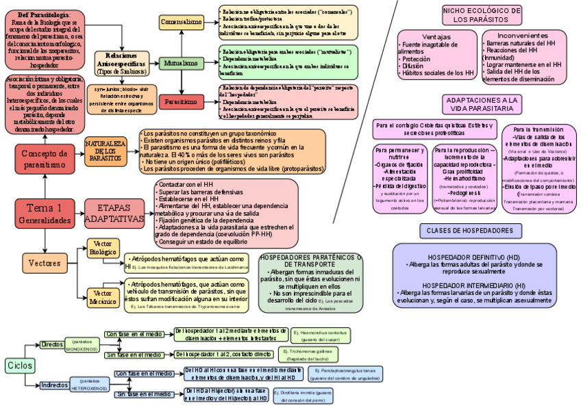 Miniatura del documento Esquema-tema-1.pdf