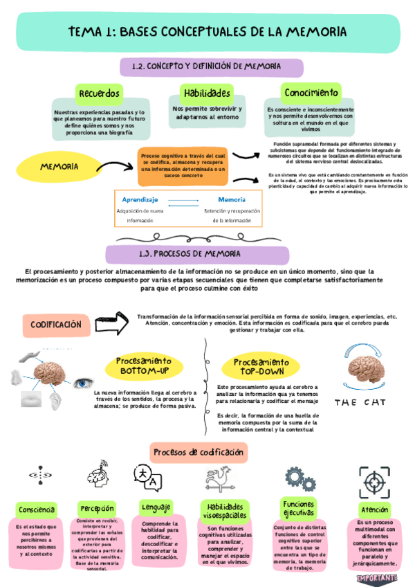 Miniatura del documento TEMA-1-PROCESOS-DE-MEMORIA.pdf