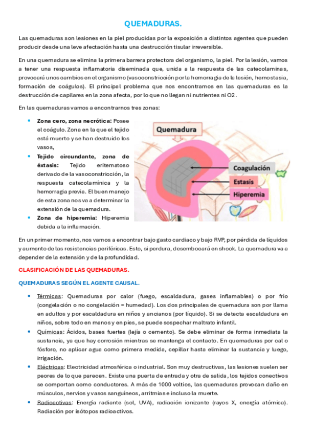 Miniatura del documento ApuntesEMQ4quemaduras.pdf