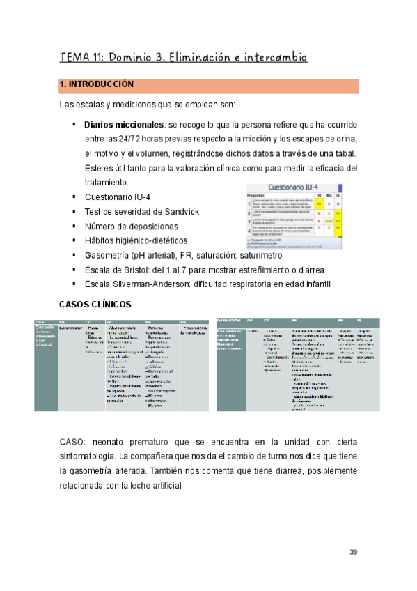 Miniatura del documento T.11-FM.pdf