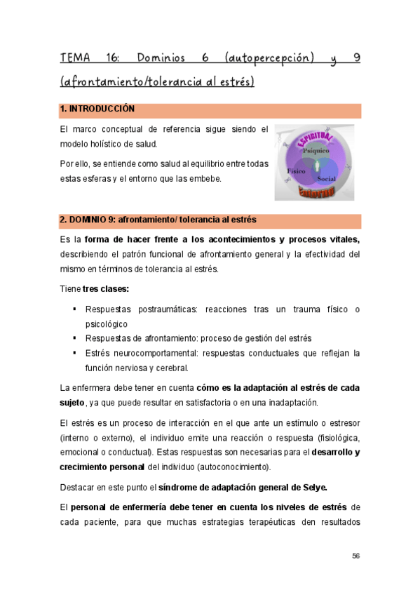 Miniatura del documento T.16-FM.pdf
