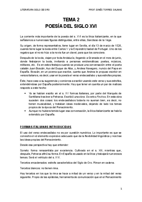 Miniatura del documento SIGLO DE ORO - GINÉS TORRES SALINAS.pdf