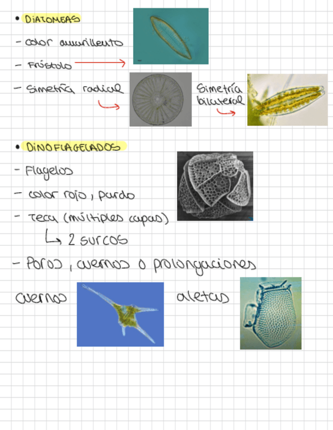 Miniatura del documento Teoria-Examen-Claves.pdf