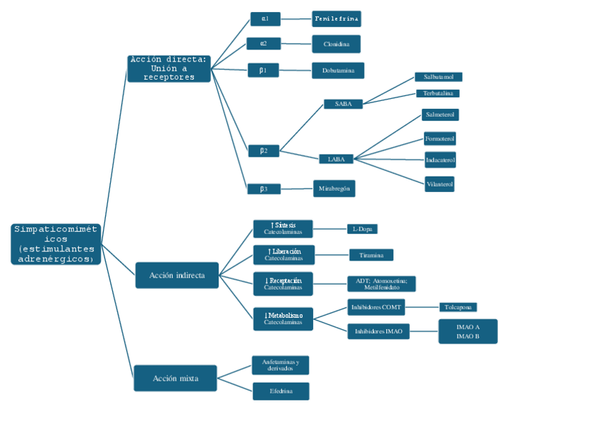 Miniatura del documento Esquema-farma-ACh-y-adrenergicos.pdf