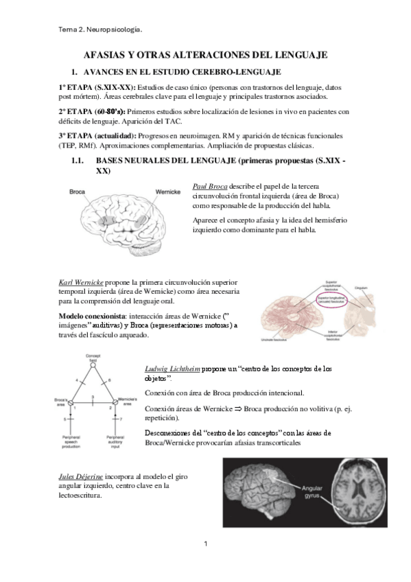 Miniatura del documento tema-2.-neuropsicologia.pdf