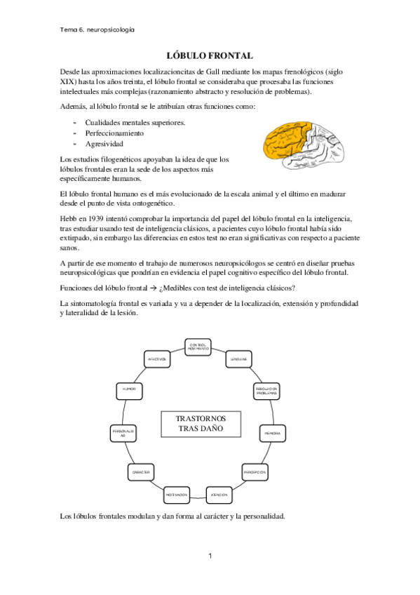 Miniatura del documento tema-6.-neuropsicologia.pdf