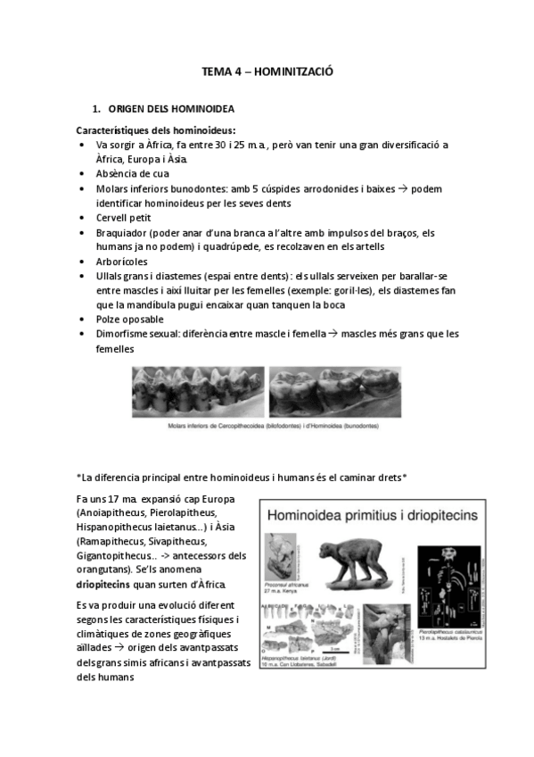 Miniatura del documento TEMA 4 (eto).pdf